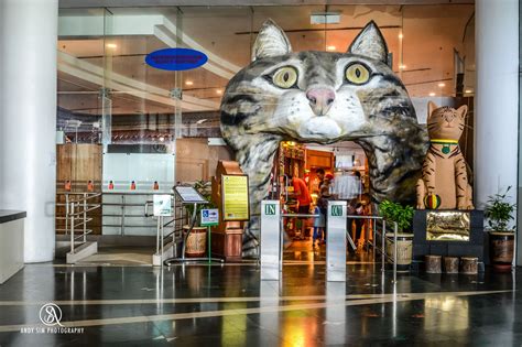 Top Hotels Closest to Cat Museum in Kuching .